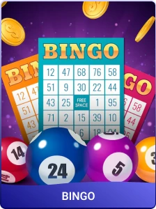 Bingo